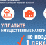 Администрация Твери напоминает о необходимости уплаты имущественных налогов - Газета Вся Тверь