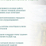 27.11.2025 | Рослесхоз поставил задачи перед регионами по подготовке к пожароопасному сезону 2026 года - Министерство лесного комплекса