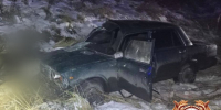 В Тверской области автомобиль сбил лося — пострадали двое человек - Тверские ведомости