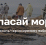 Кубанский проект «Спасай море» отмечен премией «Россия — страна возможностей» - Афанасий-биржа