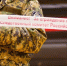 В Тверской области вынесли вердикт по делу об убийстве двух человек, которое произошло 26 лет назад - PanoramaPro.Ru