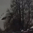Появилось видео крушения тверского самолета Ан-22 в Ивановской области - ТИА