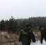 17.12.2025 | В преддверии новогодних праздников на территории лесного фонда Верхневолжья усилена охрана хвойных деревьев от незаконных рубок - Правительство области