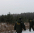 17.12.2025 | В преддверии новогодних праздников на территории лесного фонда Верхневолжья усилена охрана хвойных деревьев от незаконных рубок - Министерство лесного комплекса