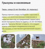 Тверичане планируют пожаловаться Путину на расплодившихся в городе крыс