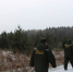 17.12.2025 | В преддверии новогодних праздников на территории лесного фонда Верхневолжья усилена охрана хвойных деревьев от незаконных рубок - Главное управление по архивному делу