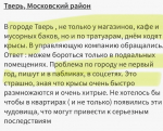 Тверичане хотят пожаловаться Путину на расплодившихся в городе крыс