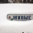 Циклон «Фрэнсис» несет в Тверскую область снежную бурю - Афанасий-биржа