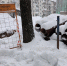 bzIAd5NG_uBtcHWB49VKu2Oa5zeLHjLkHiDPwuJrS6cyVeSxuAg6aA9imH3YJ4lLqAeOXSh1xb758X3JpQ4-OKyL.jpg - Газета Вся Тверь