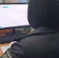 Семена в интернете подозрительные – показал мониторинг Россельхознадзора в Твери - Газета Вся Тверь