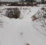 23.01.2026 | Минприроды Тверской области и ЗАО “Калининское" обустроили новую лыжную трассу - Главное управление по архивному делу