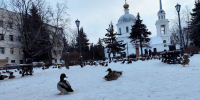 Сегодня в Твери будет уже не так морозно - Афанасий-биржа