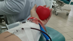 В Тверской области ищут доноров иммуноспецифической плазмы человека