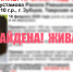 Пропавшую в Зубцове девочку нашли живой - Афанасий-биржа