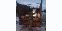 20.02.2026 | Волонтеры, организации и учреждения Тверской области направляют в преддверии Дня защитника Отечества подарки и необходимые вещи землякам в зону специальной военной операции - Правительство области