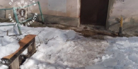 В Твери прокуратура начала проверки из-за 3-х случаев падения снега с крыш - Комсомольская Правда