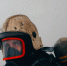 пожар000.jpg - Газета Вся Тверь