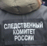 СК проверит информацию о мужчине, который демонстративно справил нужду в Твери - Афанасий-биржа