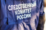 Бастрыкин заинтересовался блокировкой дела об избиениях подростков в Лихославле