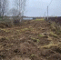 В Тверской области ликвидирована свалку строительных отходов: ущерб почти миллион - ТИА
