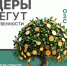31.03.2026 | Срок предоставления отчетности в рамках РОП – до 15 апреля - Министерство природных ресурсов и экологии