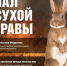 На территории Тверской области введено ограничение на разведение костров на природе - Калининский район