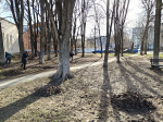 Специалисты Тверского областного Дома народного творчества провели масштабный субботник на территории Музейно-выставочного центра им. Л. Чайкиной