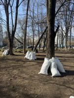 Специалисты Тверского областного Дома народного творчества провели масштабный субботник на территории Музейно-выставочного центра им. Л. Чайкиной