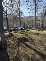 Специалисты Тверского областного Дома народного творчества провели масштабный субботник на территории Музейно-выставочного центра им. Л. Чайкиной