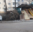 Жителям Твери напомнили, почему ветки и шины нельзя кидать в мусорные контейнеры - Афанасий-биржа