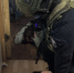 В Твери при силовой поддержке ОМОН Росгвардии ликвидирована подпольная нарколаборатория - Росгвардия
