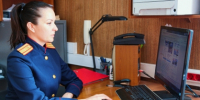 По сообщению о нападении собак на молодого человека в городе Зубцове следователем организовано проведение проверки - Следственный комитет