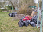 В Твери продолжаются городские субботники