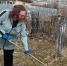 Специалисты тверского Росреестра традиционно пришли на уборку воинских могил - Газета Вся Тверь