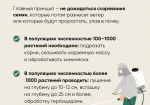 11.05.2026 | Как бороться с борщевиком Сосновского: правила безопасности и меры борьбы