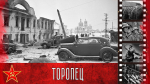 Международная акция «Сад памяти» прошла в Торопецком лесничестве Тверской области