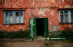 В Лихославле арендатор заплатит за разведенных тараканов 300 тысяч рублей