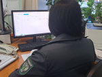 В тверском соцучреждении в мясе птицы обнаружена сальмонелла