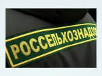 В яйцах, поставленных в тверское соцучреждение, выявлены антибиотики