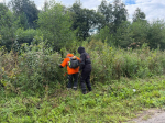 Пропавшего в Тверской области подростка продолжают искать