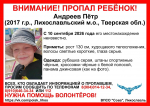 Пропавший в Лихославле ребенок найден