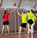 volbol