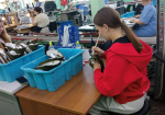 27.10.2026 | В Тверской области более 23 100 подростков получили трудовой опыт с начала года – все больше ребят в Верхневолжье делают первые шаги в профессии со школьной скамьи